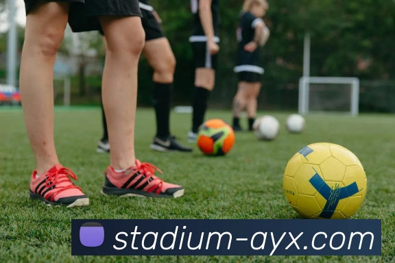 爱游戏服务体系