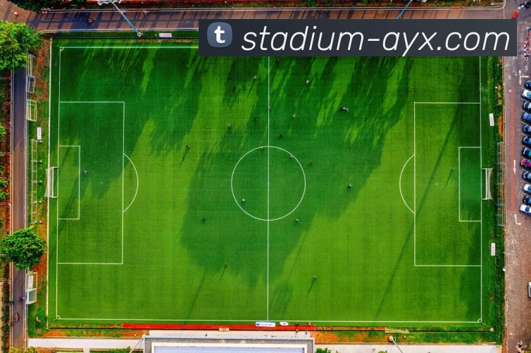 多媒体互动体验